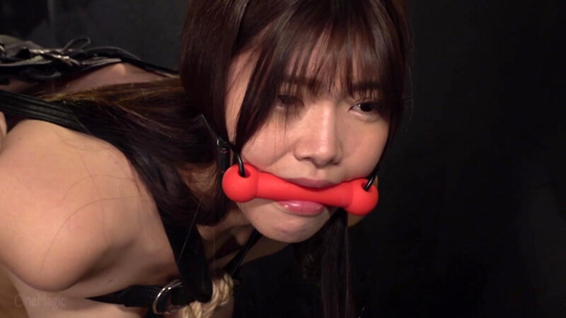 【独占】 【準新作】 どS傲慢社長令嬢 奈落の美肉奴破壊 美木ひなの 017